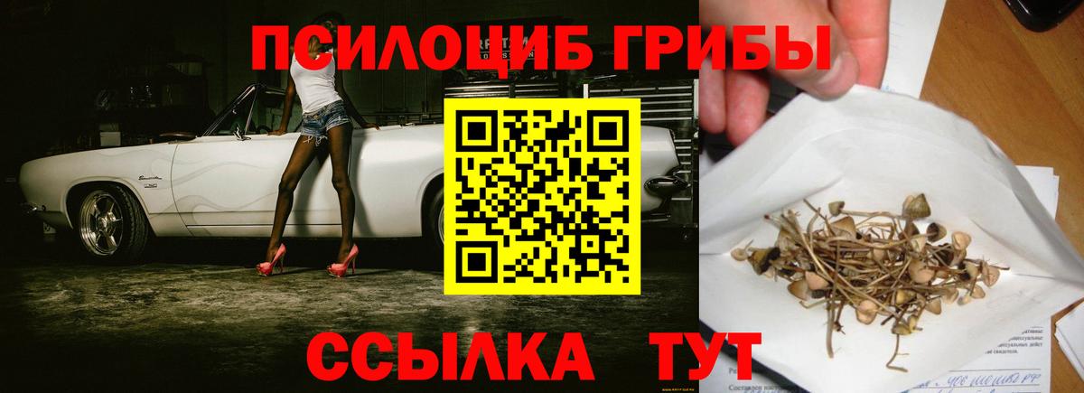 Галлюциногенные грибы Magic Shrooms Тольятти